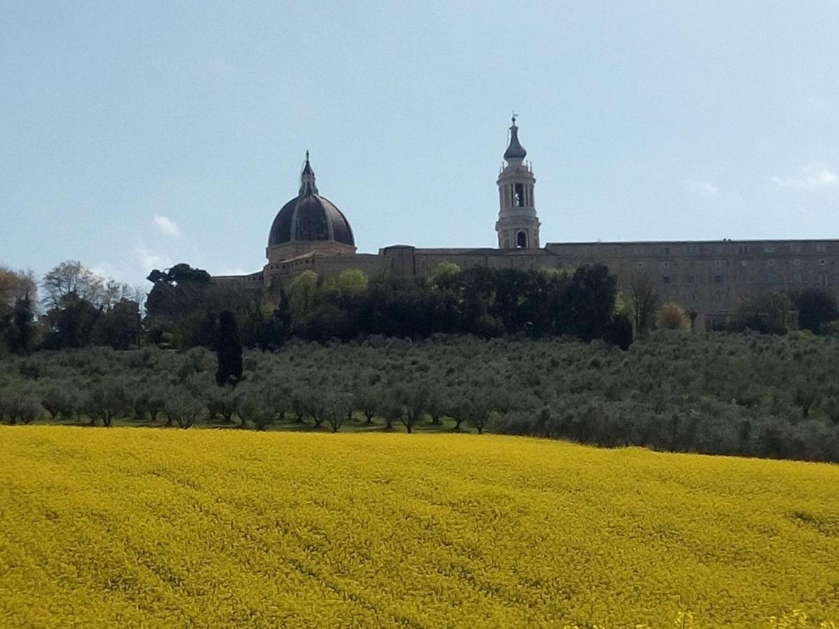 La Dolce Vita Castelfidardo Kültér fotó