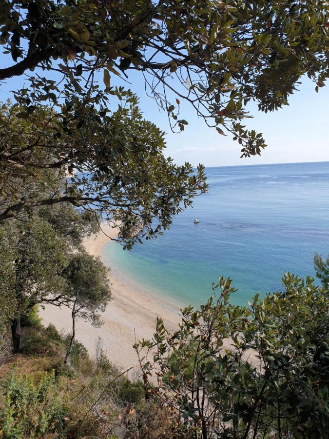 La Dolce Vita Castelfidardo Kültér fotó