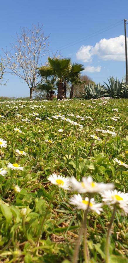 La Dolce Vita Castelfidardo Kültér fotó