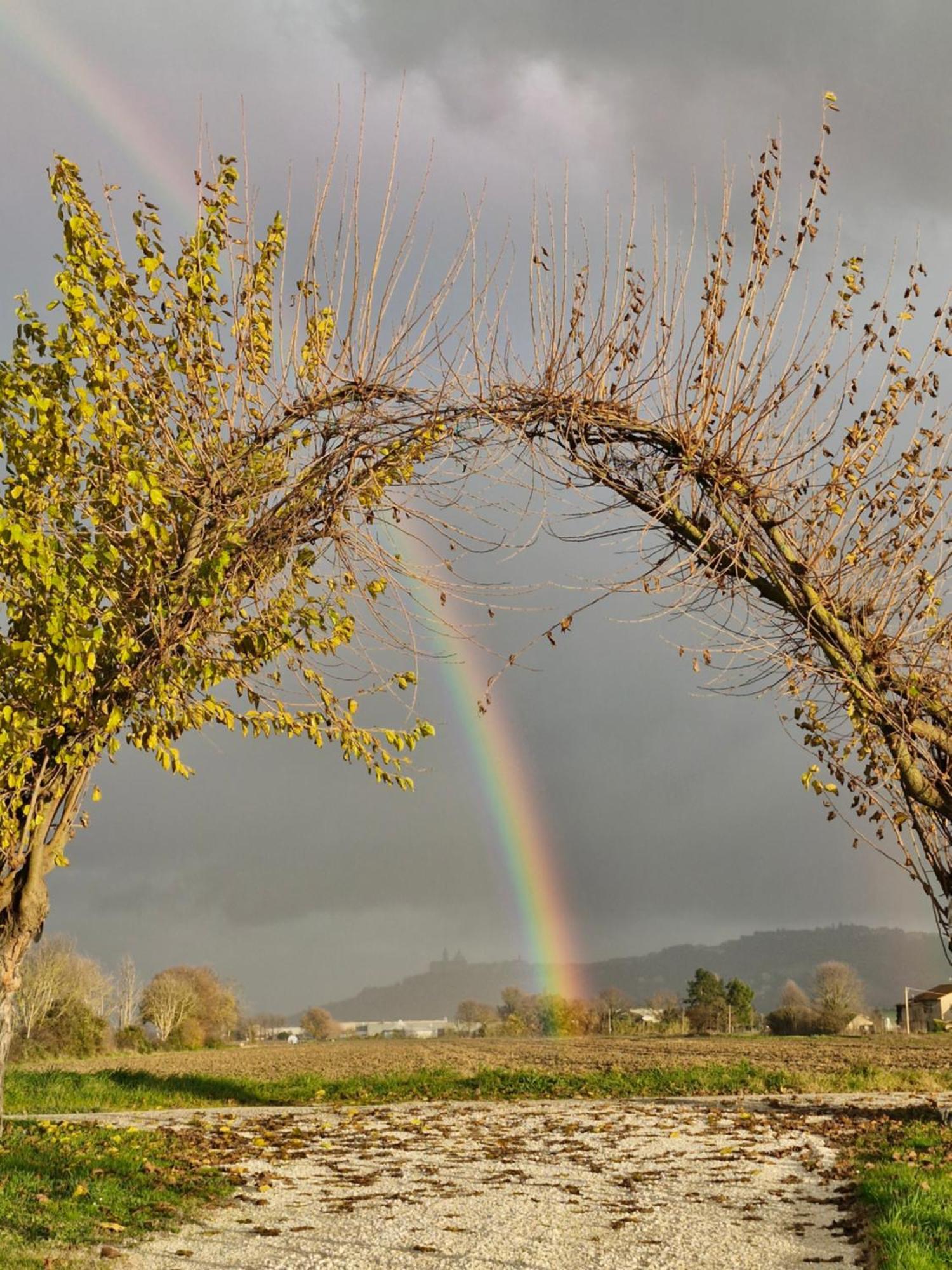 La Dolce Vita Castelfidardo Kültér fotó