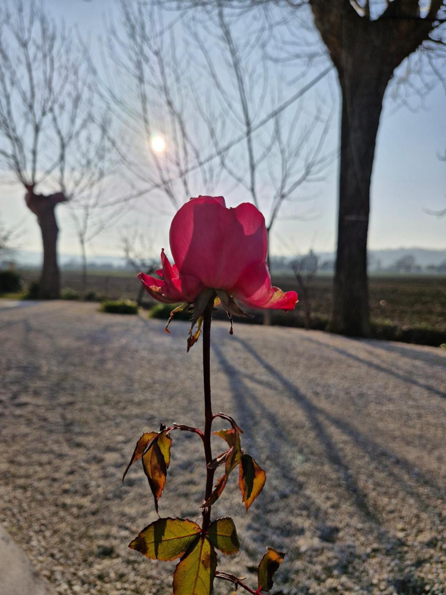La Dolce Vita Castelfidardo Kültér fotó