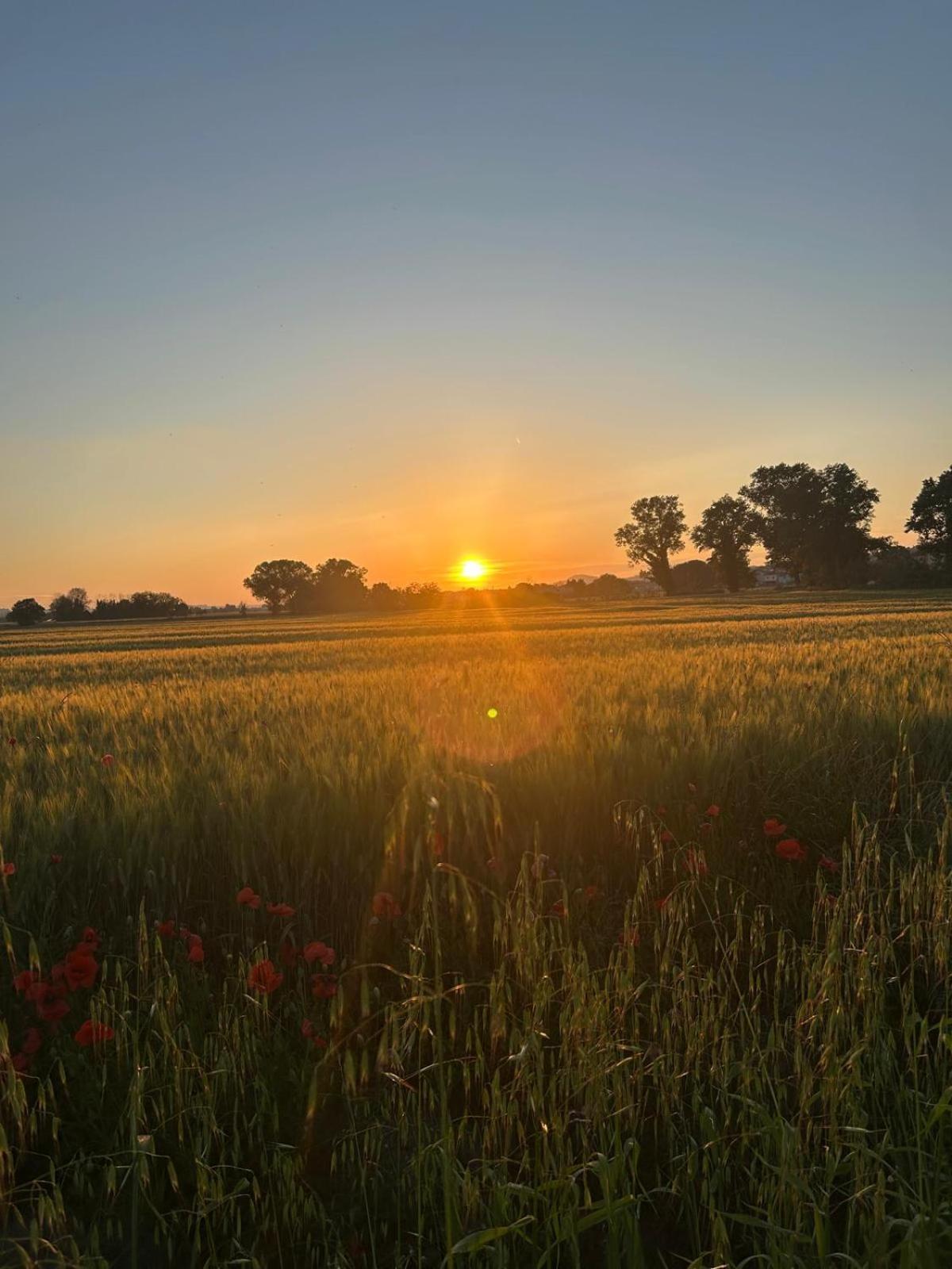 La Dolce Vita Castelfidardo Kültér fotó